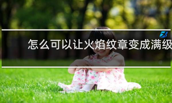 怎么可以让火焰纹章变成满级