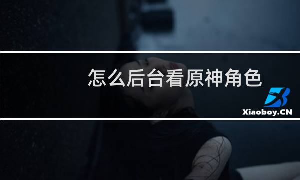 怎么后台看原神角色