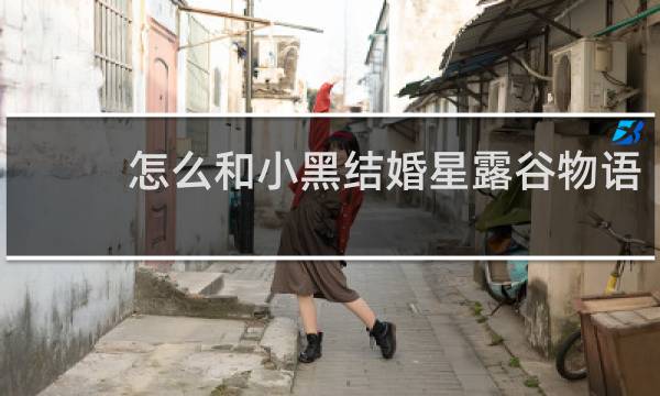 怎么和小黑结婚星露谷物语