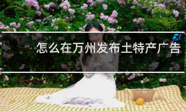 怎么在万州发布土特产广告