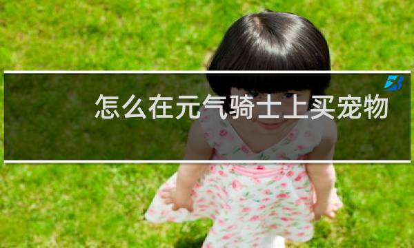 怎么在元气骑士上买宠物