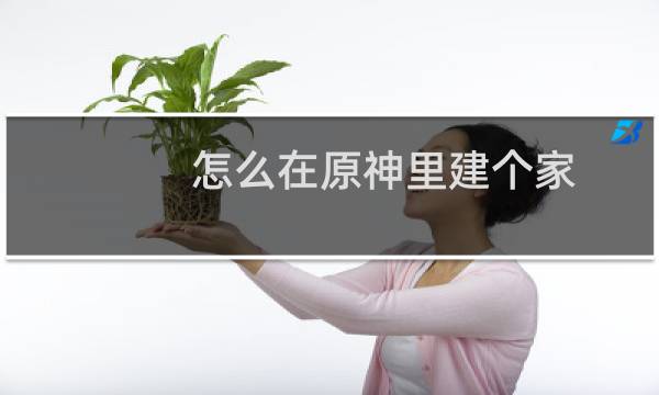 怎么在原神里建个家