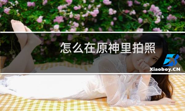 怎么在原神里拍照