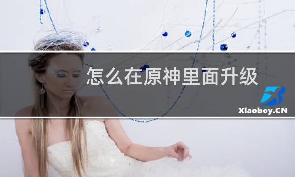 怎么在原神里面升级