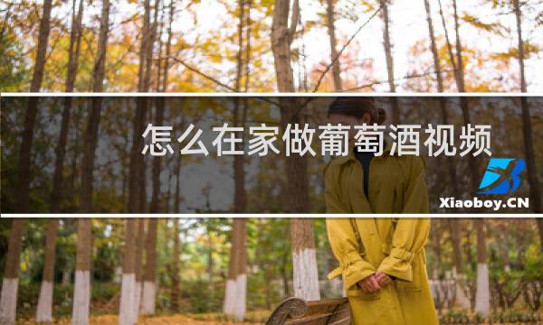 怎么在家做葡萄酒视频