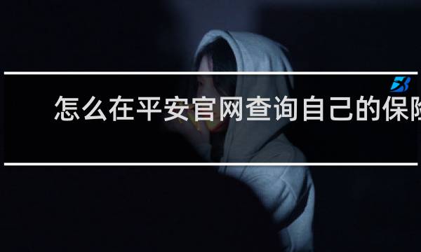 怎么在平安官网查询自己的保险