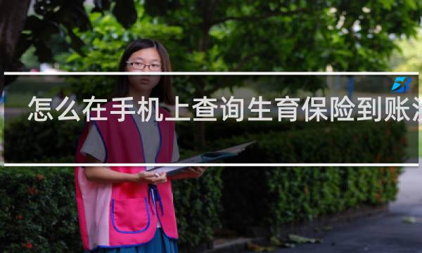怎么在手机上查询生育保险到账没有
