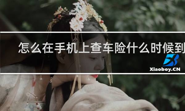 怎么在手机上查车险什么时候到期