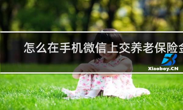 怎么在手机微信上交养老保险金