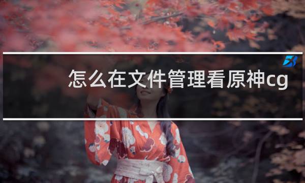 怎么在文件管理看原神cg