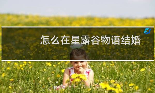 怎么在星露谷物语结婚