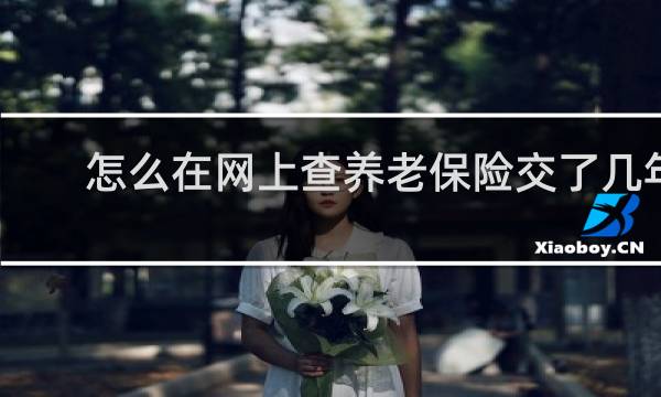 怎么在网上查养老保险交了几年