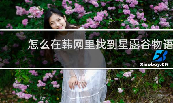 怎么在韩网里找到星露谷物语