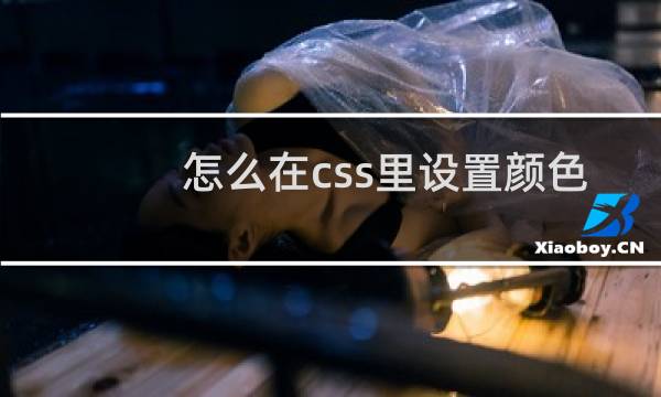 怎么在css里设置颜色