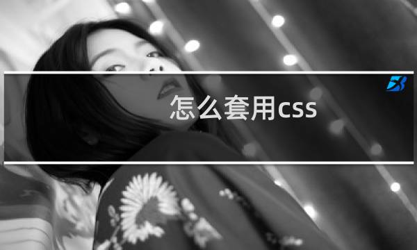 怎么套用css