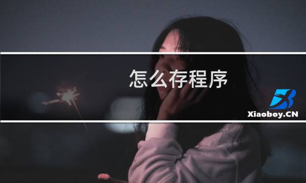 怎么存程序