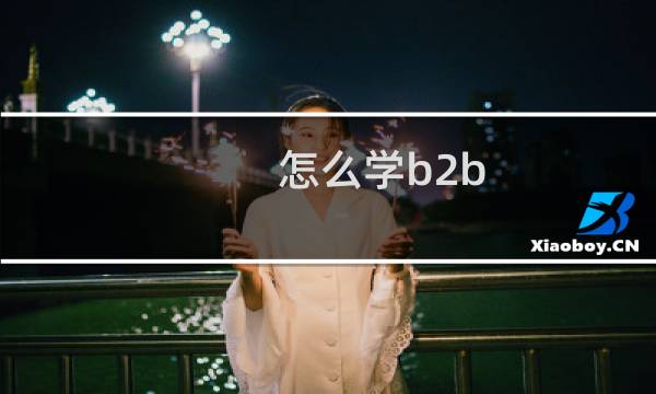 怎么学b2b