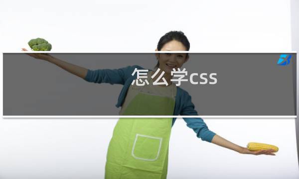 怎么学css 知乎