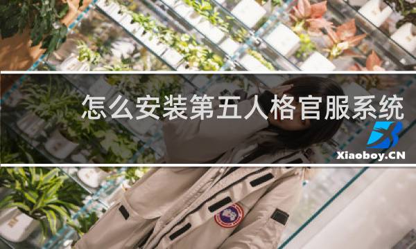 怎么安装第五人格官服系统