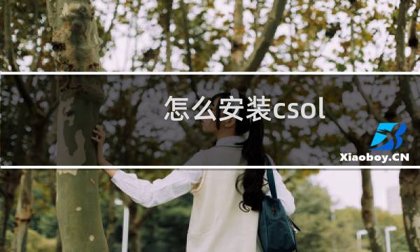 怎么安装csol