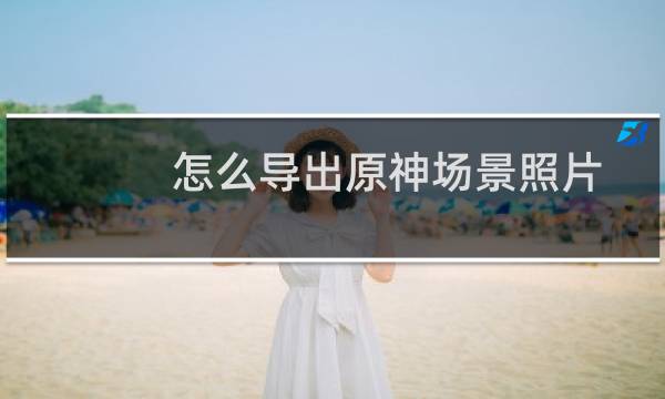 怎么导出原神场景照片