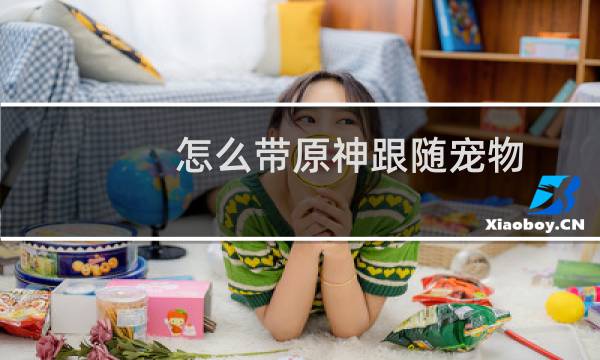 怎么带原神跟随宠物
