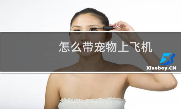 怎么带宠物上飞机