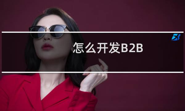怎么开发B2B