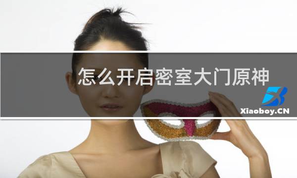 怎么开启密室大门原神