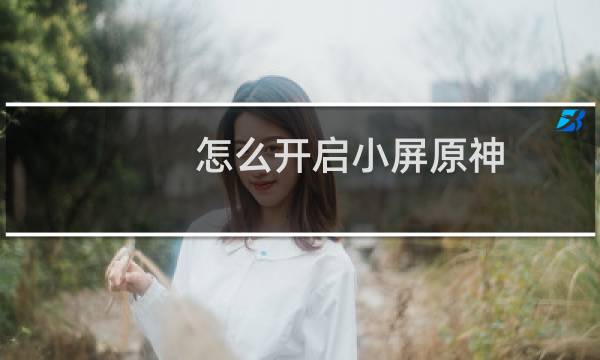 怎么开启小屏原神