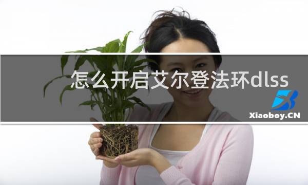 怎么开启艾尔登法环dlss