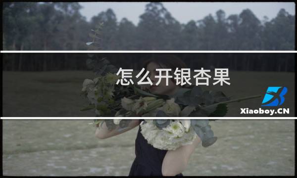 怎么开银杏果
