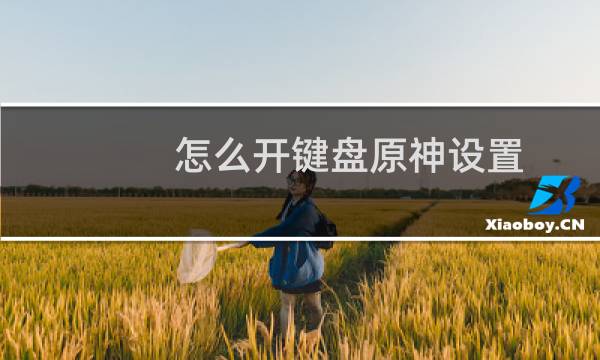 怎么开键盘原神设置