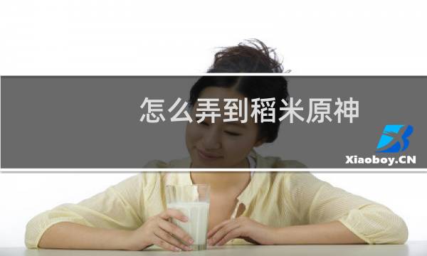 怎么弄到稻米原神