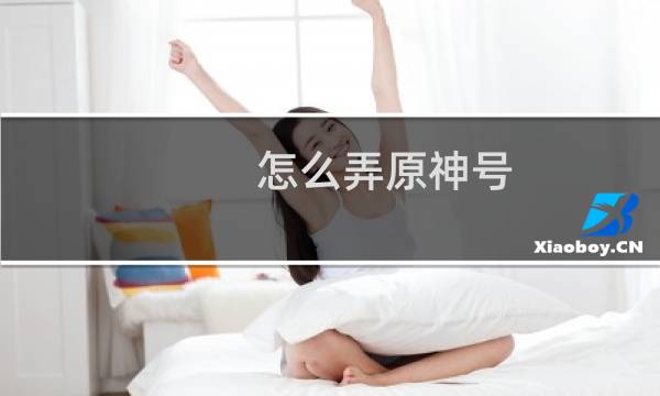 怎么弄原神号