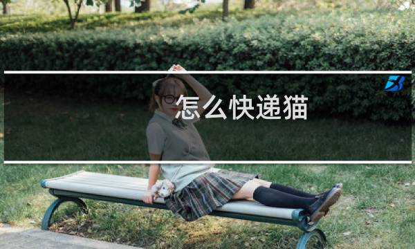 怎么快递猫