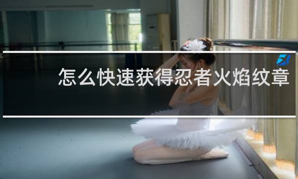 怎么快速获得忍者火焰纹章