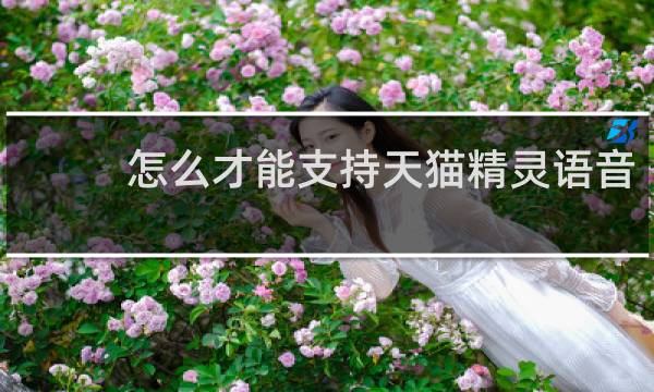 怎么才能支持天猫精灵语音