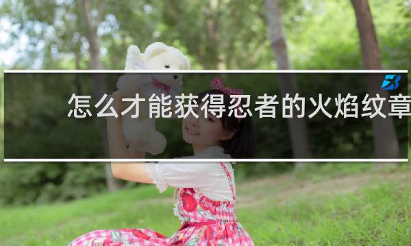 怎么才能获得忍者的火焰纹章