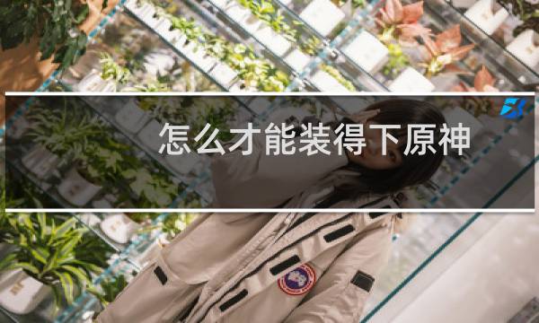 怎么才能装得下原神