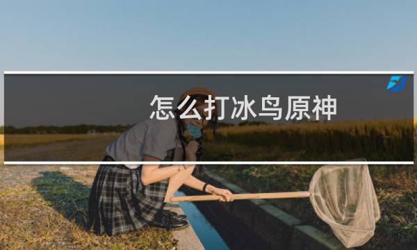 怎么打冰鸟原神