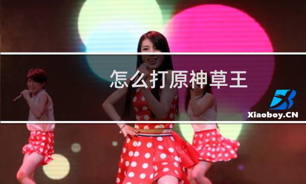 怎么打原神草王