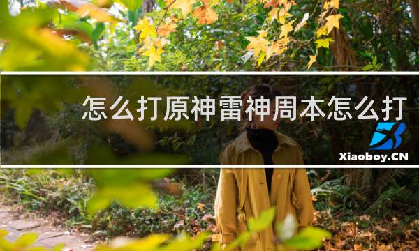 怎么打原神雷神周本怎么打