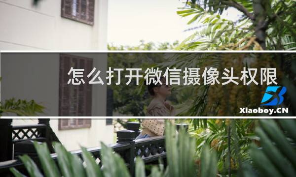 怎么打开微信摄像头权限