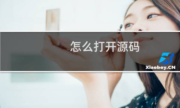 怎么打开源码