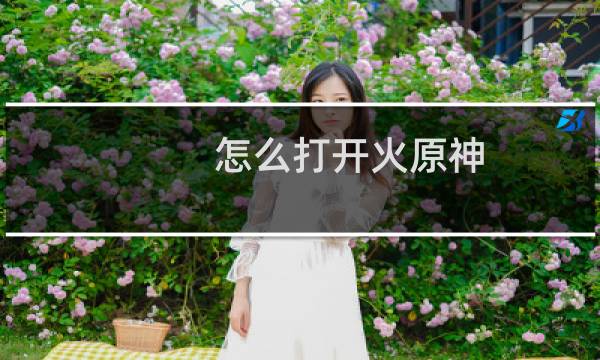 怎么打开火原神