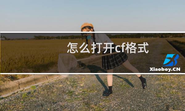 怎么打开cf格式