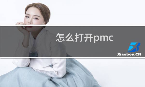 怎么打开pmc