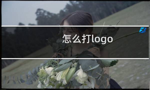 怎么打logo