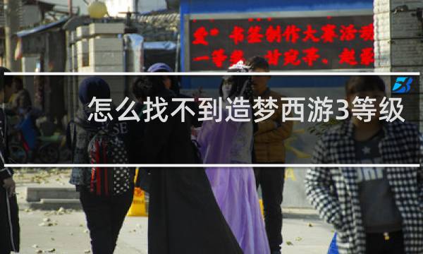 怎么找不到造梦西游3等级